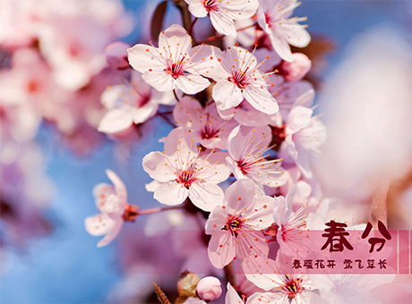 今日春分，不负时光，红星加油干！